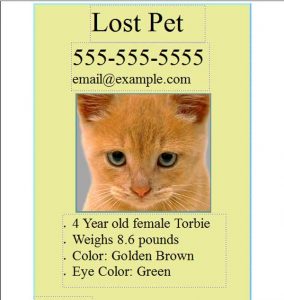 lost pet template pet lost template