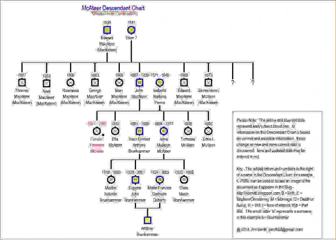 make a genogram