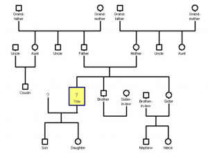 make a genogram genogram maker x