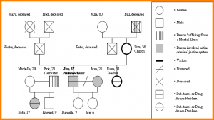 make a genogram how to make a genogram genogram