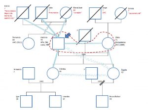 make a genogram irgbv