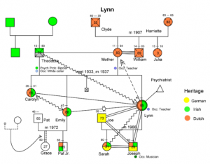 make a genogram lynn ex