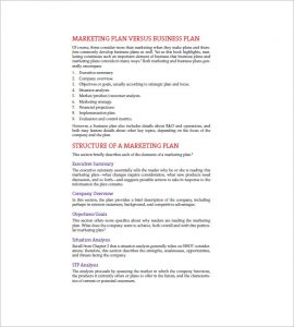 marketing plan executive summary marketing plan executive summary example