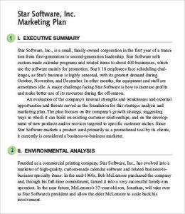 marketing plan executive summary marketing plan executive summary sample