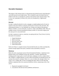 marketing plan executive summary music marketing plan executive summary