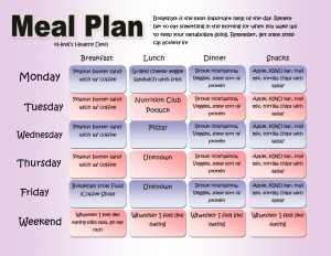 meal plan template word meal plan