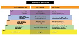 mental health treatment plan template stepped care