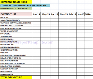 monthly expense report comparative expreoprt