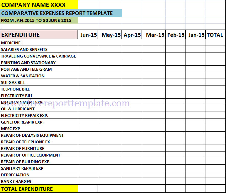 Monthly Expense Report