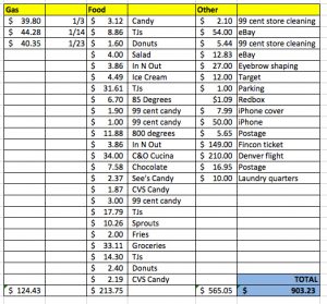 monthly time sheet january spending tracker