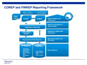 needs analysis templates delivering integrated corep and finrep reporting