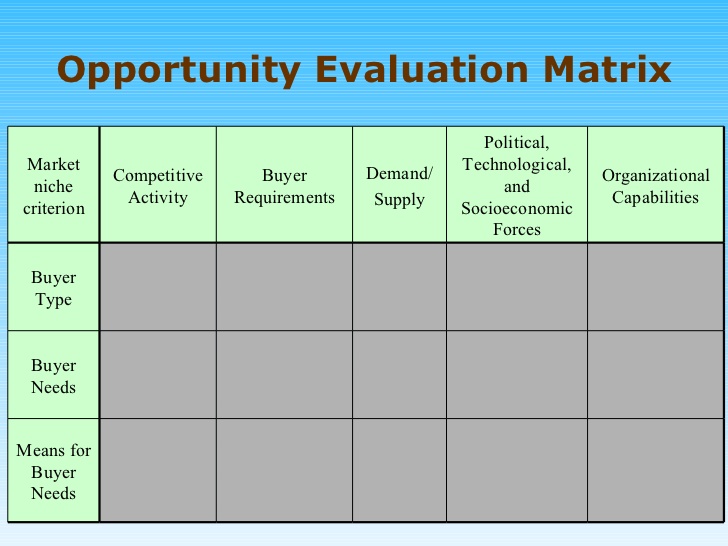 opportunity analysis content of the business plan