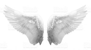 newspaper article format feathered white angel wings on white background picture id