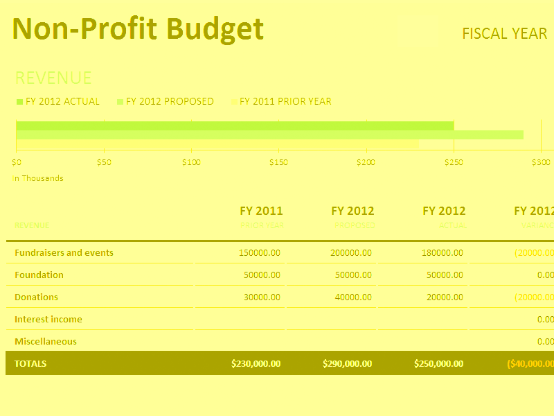 non profit budget