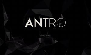 non profit website templates antro site