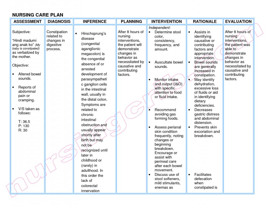 Nursing Care Plan For Dementia Template Business