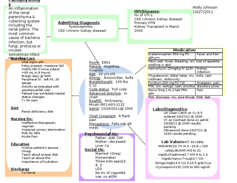 nursing concept mapping template