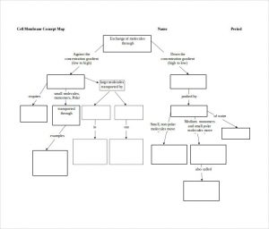 nursing concept mapping template free download cell membrane concept in doc map