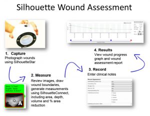 nursing reports templates wound assess