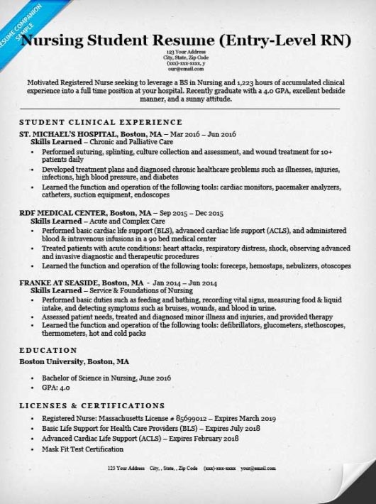 nursing student resume template