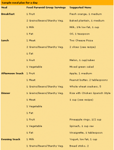 Nutrisystem Meal Planner | Template Business