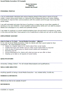 offer letter example social media executive cv example