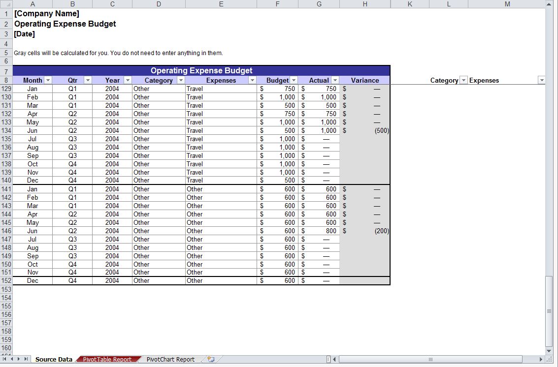 operating budget example