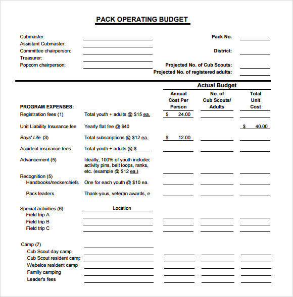 operating budget example