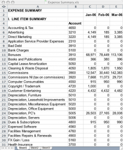 operating plan template summarya