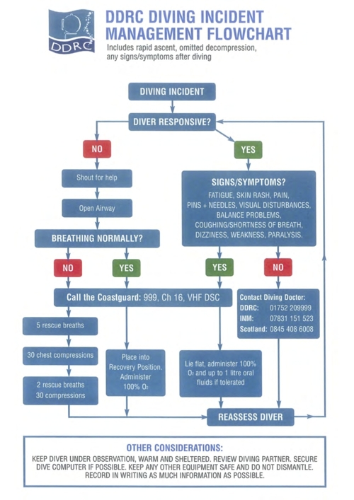 operational manual template