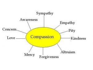 outline for writing a book compassionbrainstorm