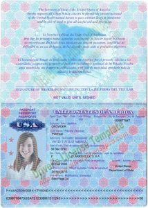 passport photo template psd img eb bad dae da ddad fe