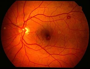 patient sign in sheet image full;max$,