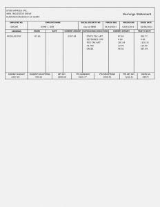 pay stub example pay stub template word