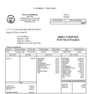 pay stub example paystub