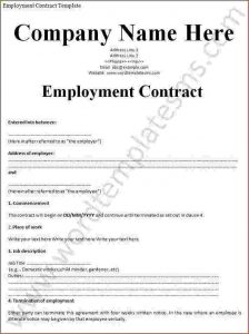 pay stub form job contracts templates employment contract templat