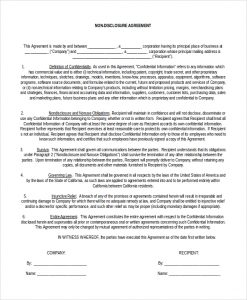 pay stub template pdf one way non disclosure agreement formnda