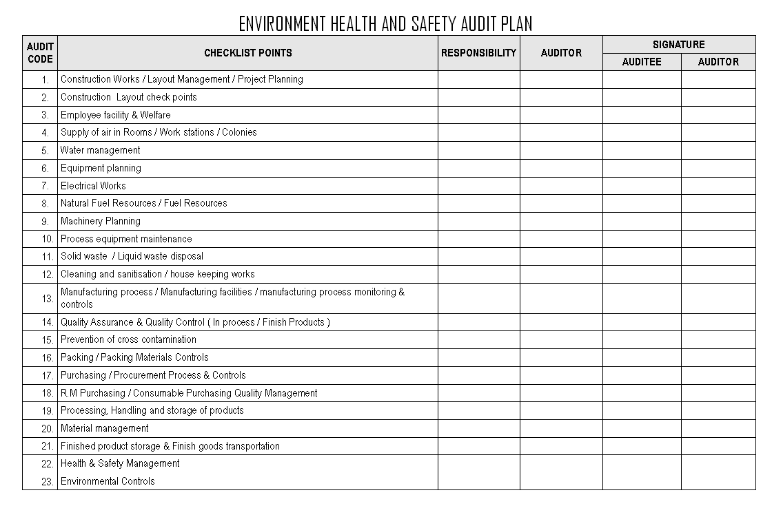 pay stub templates