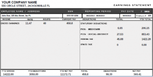 paycheck stub template realpaycheckstubss