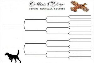 pedigree chart template blank dog pedigree chart template