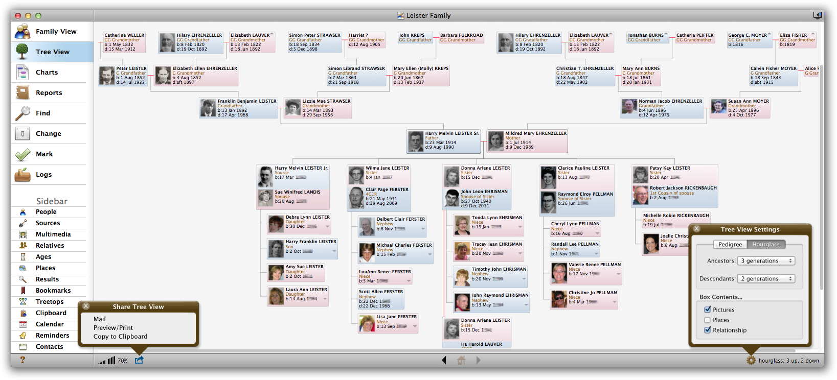 pedigree chart template