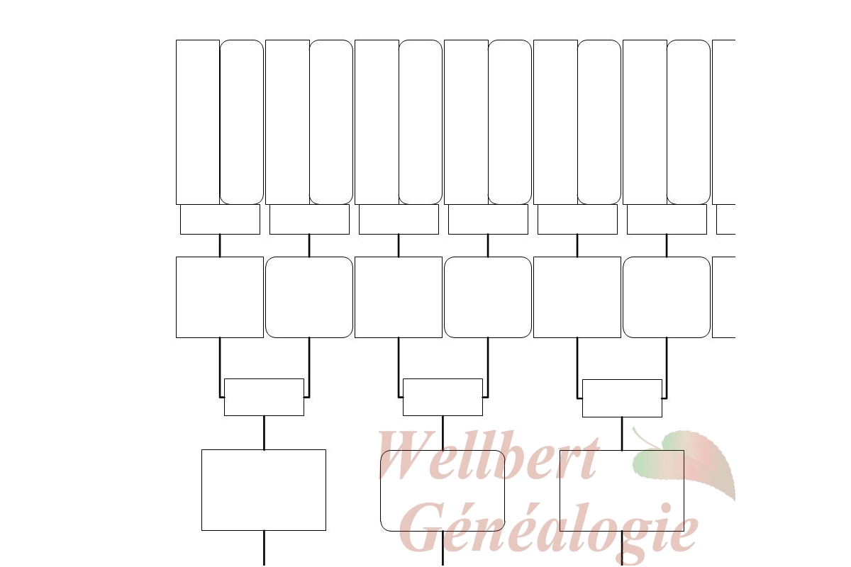 pedigree chart template