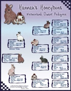 pedigree chart template netherland dwarf custom pedigree small