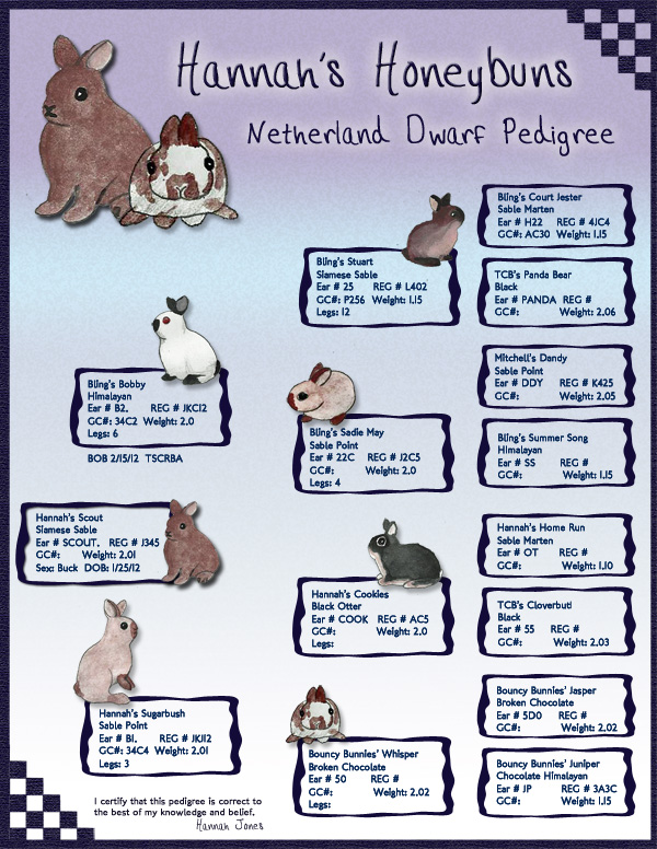 pedigree chart template