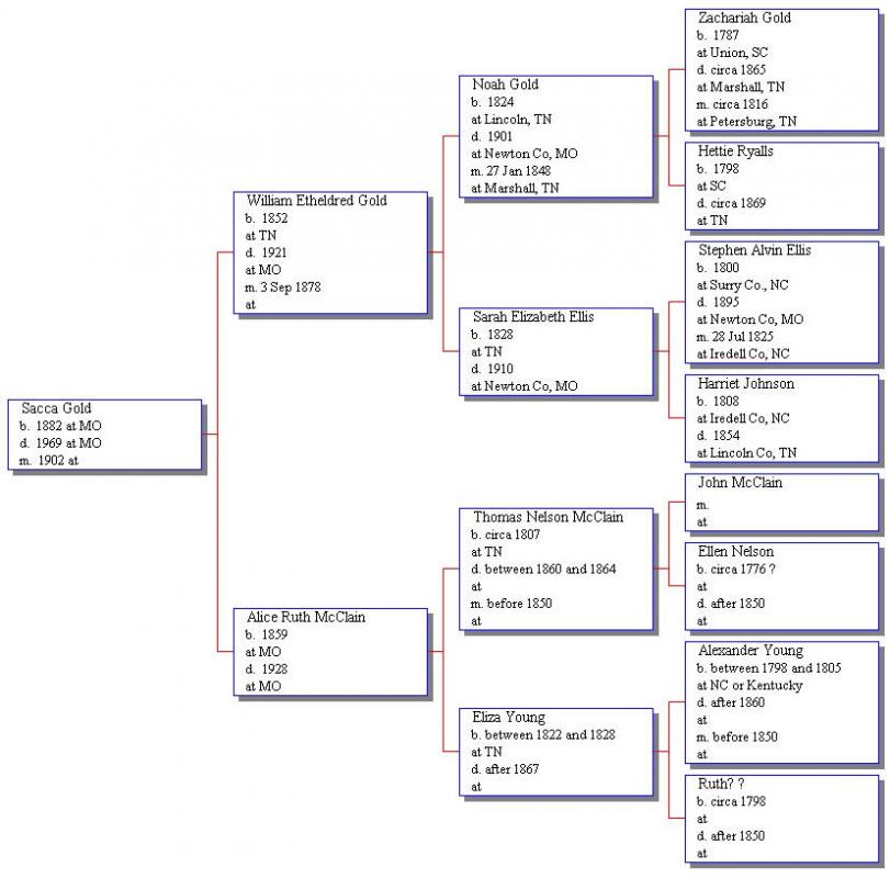 pedigree chart template