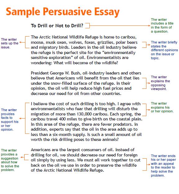 persuasive essay format