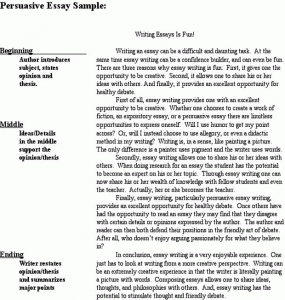 persuasive essay format scrap