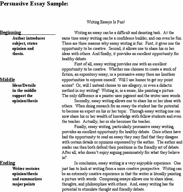 persuasive essay format