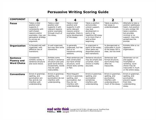 How to write a good application essay persuasive