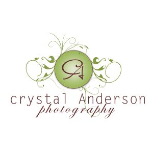 photoshop logo templates boutique design